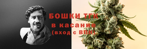 индика Арсеньев