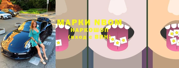 индика Арсеньев