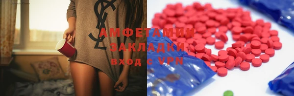 индика Арсеньев