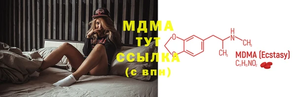 индика Арсеньев