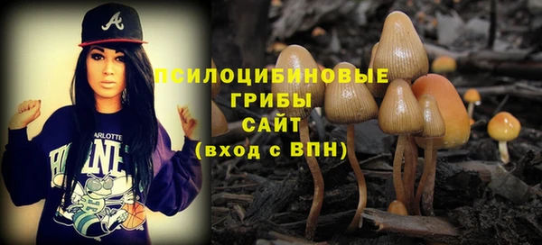 кокаин премиум Алексеевка