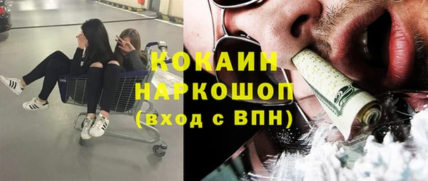 индика Арсеньев