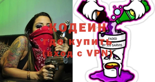индика Арсеньев